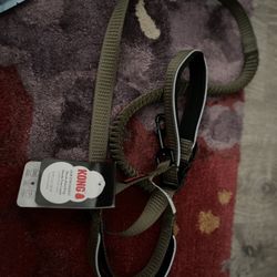 Kong Leash
