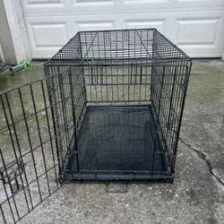 Kennel 