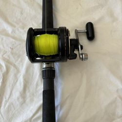 Shimano TLD 15  with a  7' West Marine Rod 