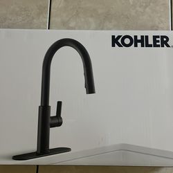 Kohler kitchen Faucet