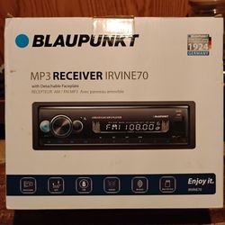 Blaupunkt  Blue Tooth Car Stereo