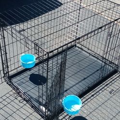 Animal Crate 🐩 🐶