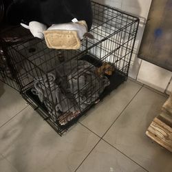 Crate For Small/med Size Dog