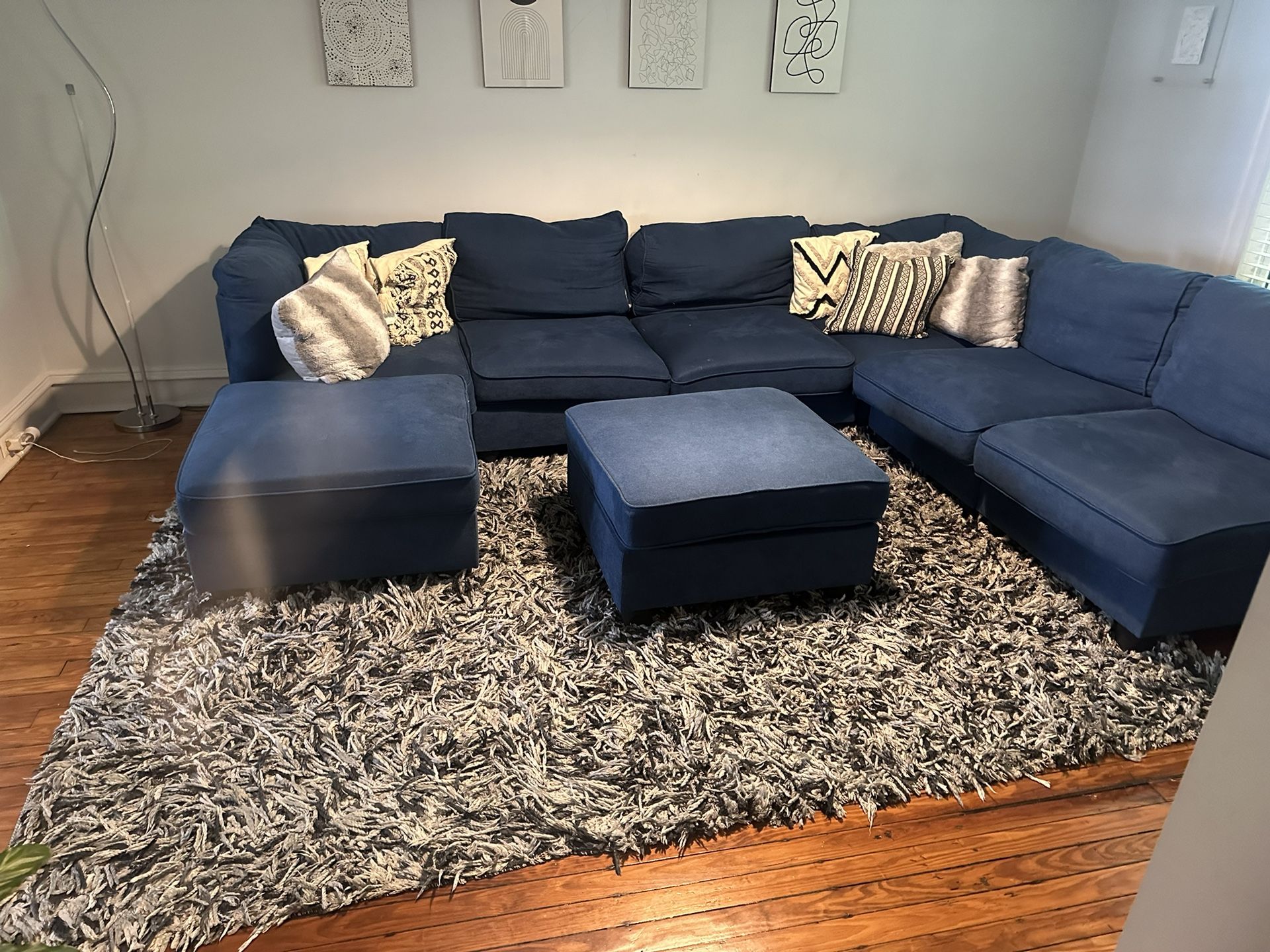 Couch,Pillows,and Rug Bundle