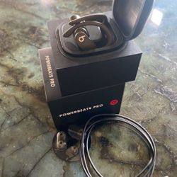 Powerbeats Pro Totally Wireless Earphones- Moss