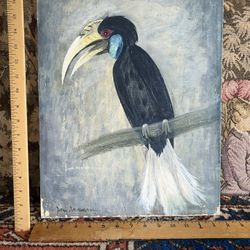 Old Parrot Painting Signed By Artist 