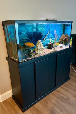 Fish tank with stand