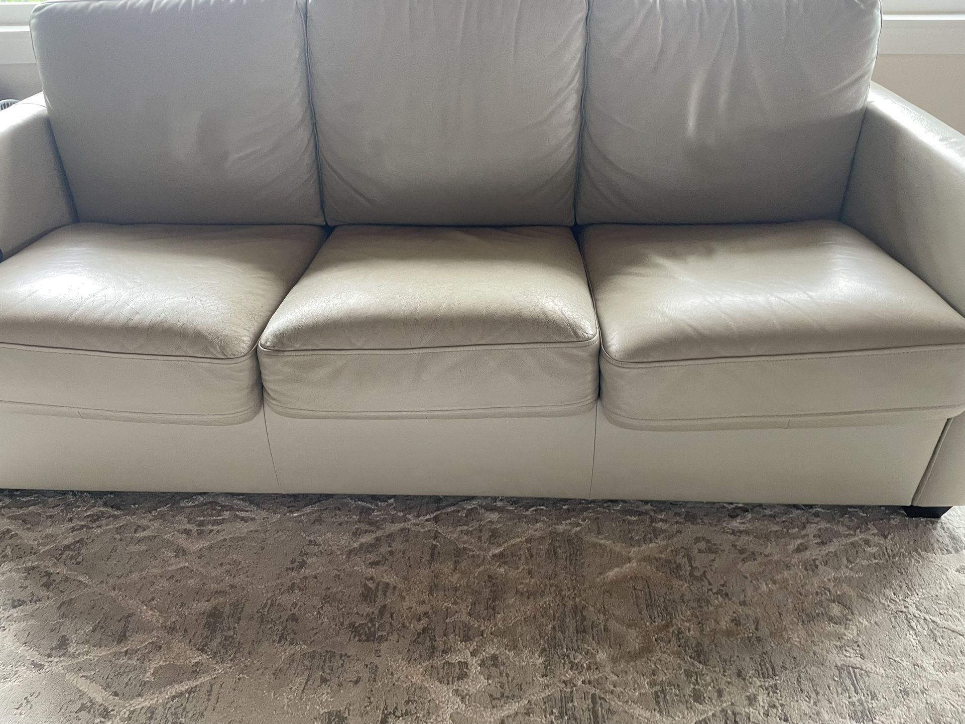 Leather Sleeper Sofa From Dania