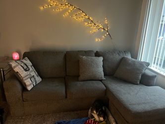 Gray Couch