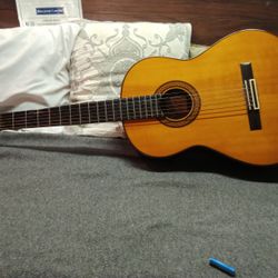 YAMAHA Guitar G-245S Classical/ Acoustic 