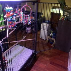 Large- Parrot Cage