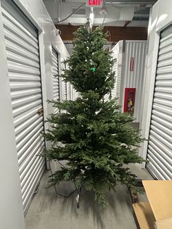 Pre light Christmas tree