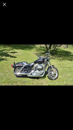 2005 Harley Davison xl 883 l