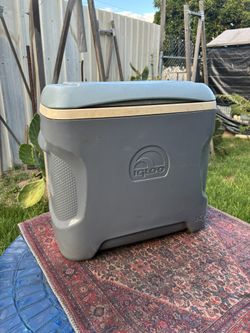 Igloo Ice chest 35$ Cheap