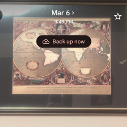 Antique Framed World Map