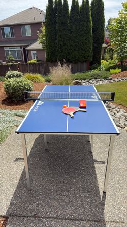 table tennis set - small