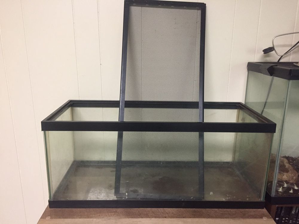 20 Gallon Long Tank With Screen Top