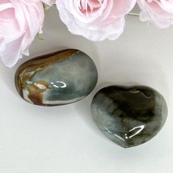 Polychrome Set 