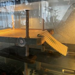 Large Pet Floating Basking Platform