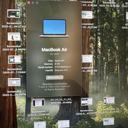 Rose Gold 2020 MacBook Air M1 Chip, 13.3 In retina Display