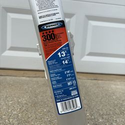 Werner MT-13 Ladder