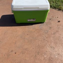 Cooler For Beach, Party 