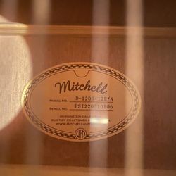 Mitchell 12 Strings 