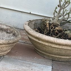 Extra Large, Heavy Concrete Bonsai Planter 32” Diameter 