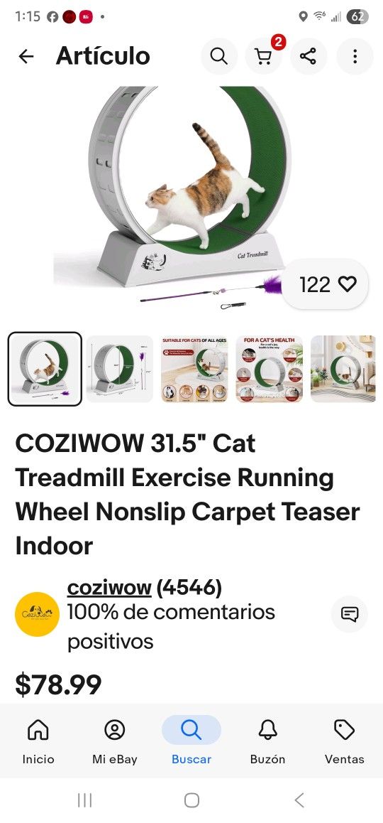 Cat Treadmill