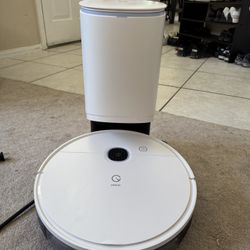 Robot cleaner
