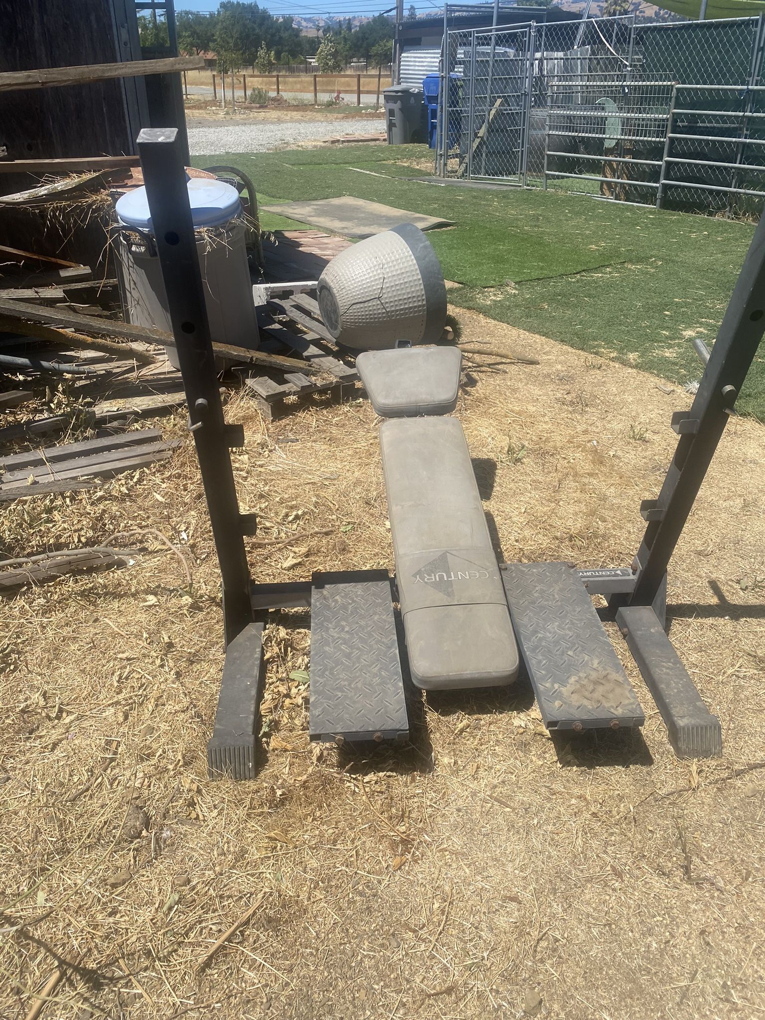 Free Bench Press