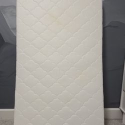 Newton Crib Matress 
