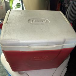 Cooler