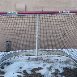 2 EZ Goal Hockey Nets