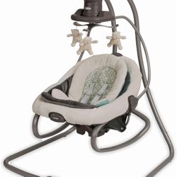 Graco Duetsoothe Rocker And Swing