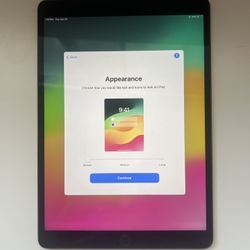 iPad