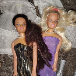 Two Barbies One Dress