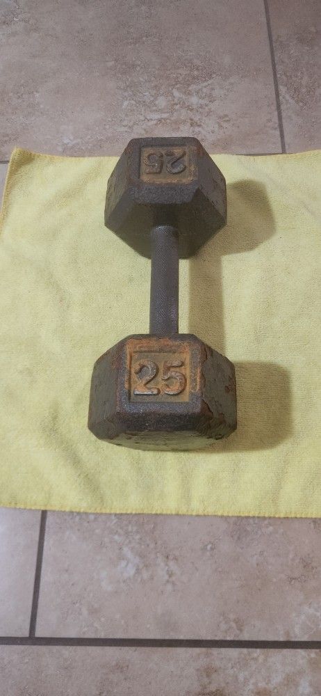 25lb Dumbbell Weight