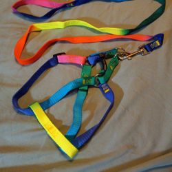 Rainbow Adjustable Harness With Leash;  Size S/M