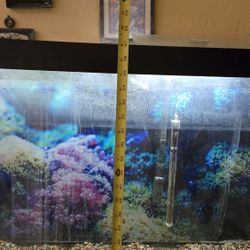 Fish Tank 75g