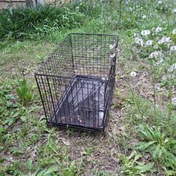 30x20 Cage