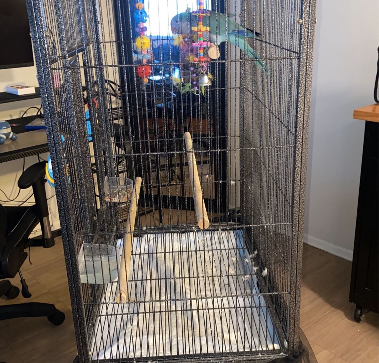 Amazing Bird Cage