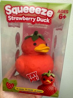 Strawberry Squishy Duck