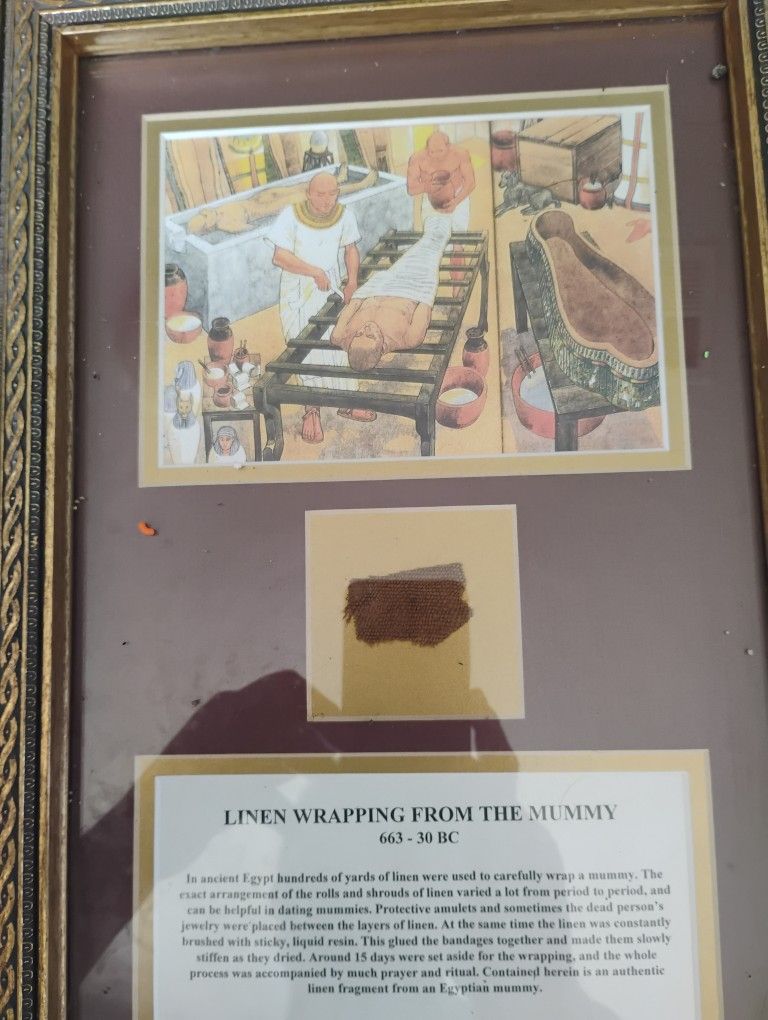 Piece Of Mummy Wrap In Frame Dated Bc