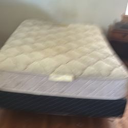 Double/Full Bed w/ Box Spring