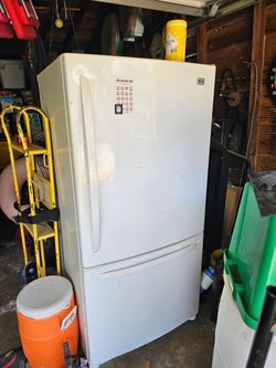 LG White Bottom Freezer Refrigerator