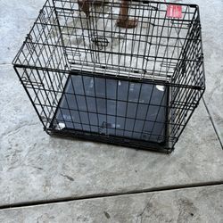 Dog Crate