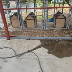 Three Dog Houses $300 The Roof Pop Open