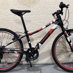 Guardian Bike