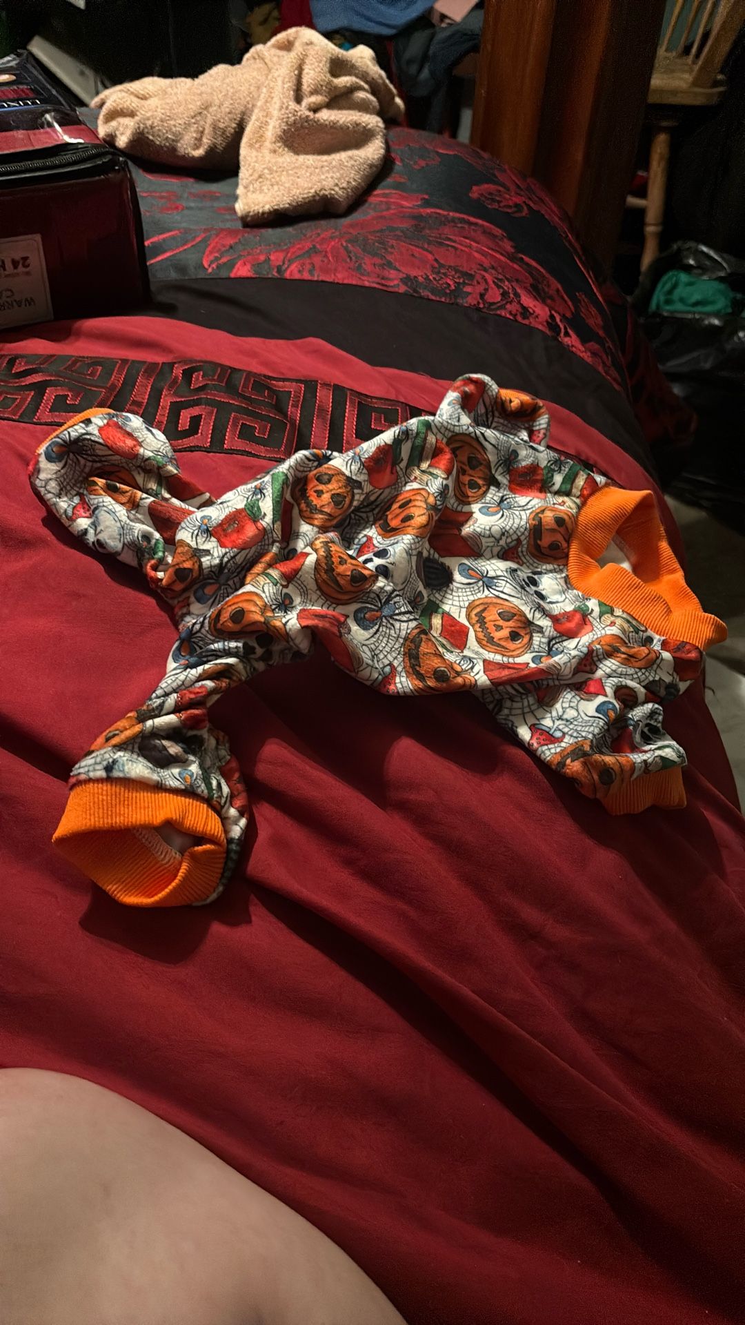 Small Dog Halloween Out Fit And Jean Jacket Bundle